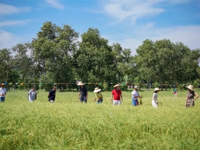 SS Rice News Convention 2025, Pattaya - Thailand